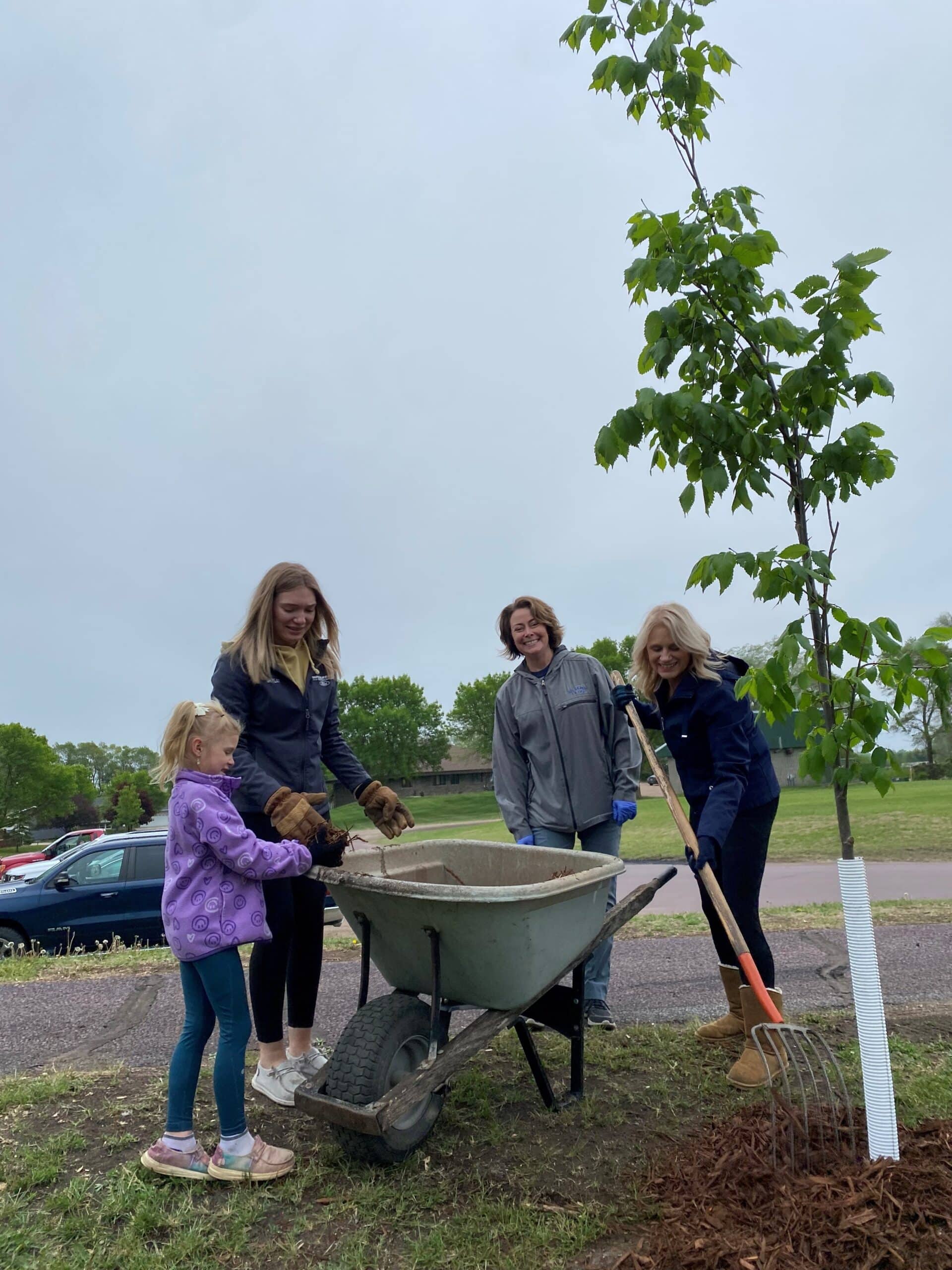 Johnson Park Tree Plant2