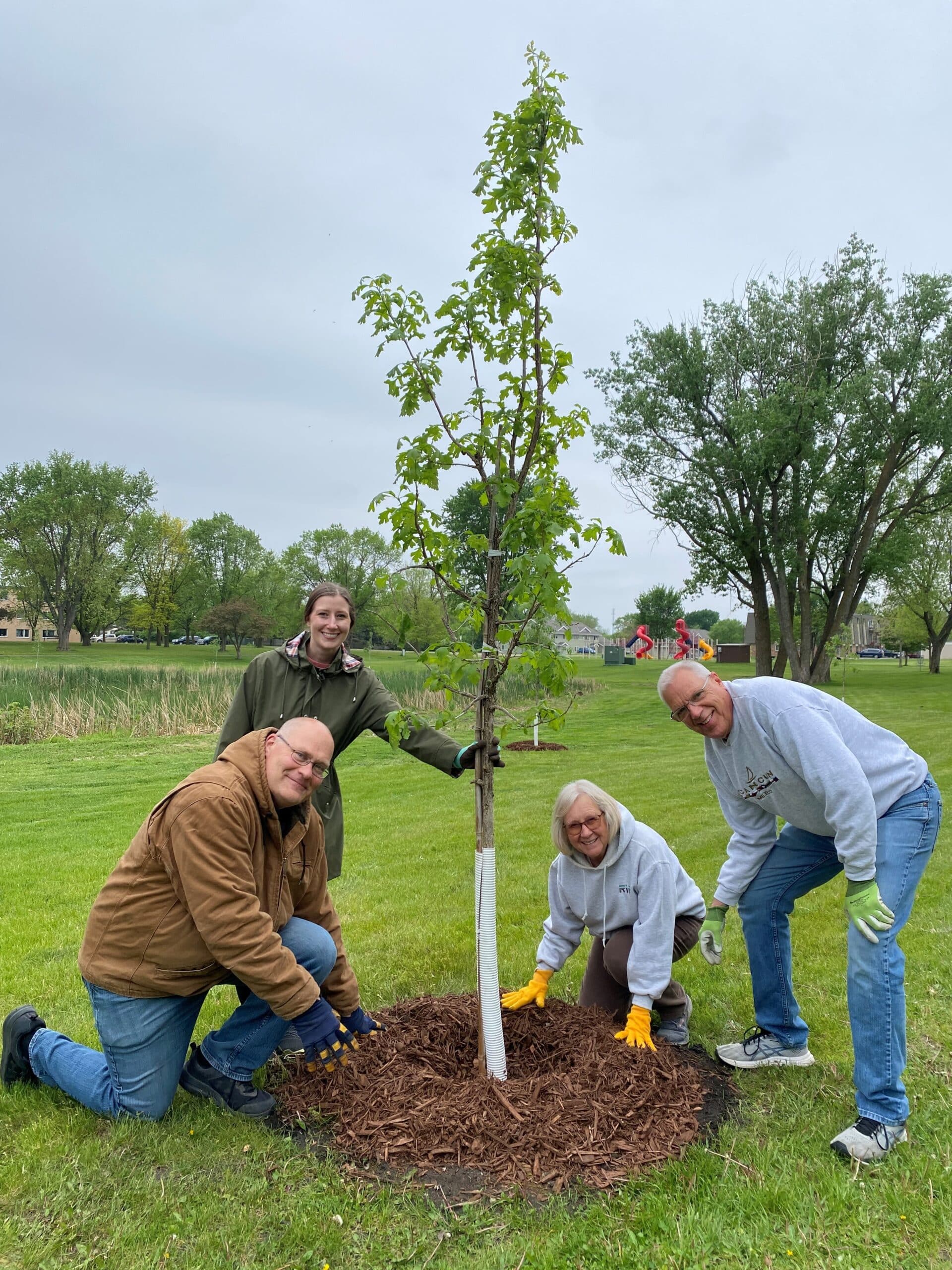 Johnson Park Tree Plant3